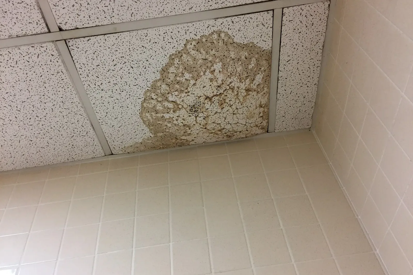 A water stain on a ceiling, the kind of damage that leads to condo insurance claims